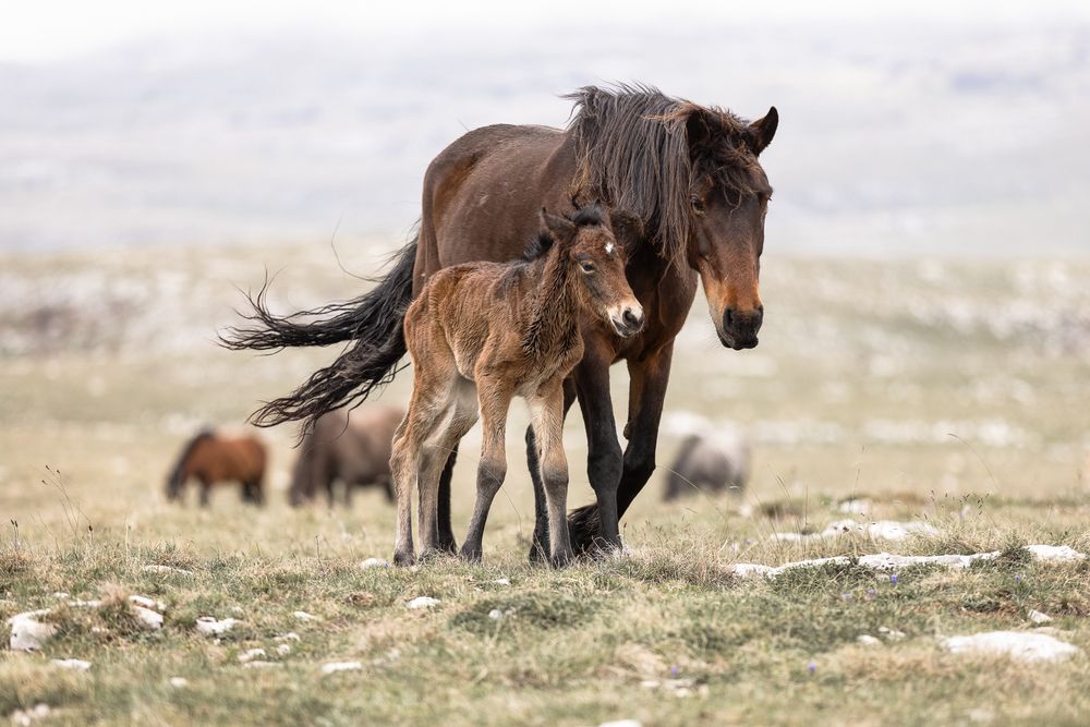 Photograph by Fabienne Gassmann