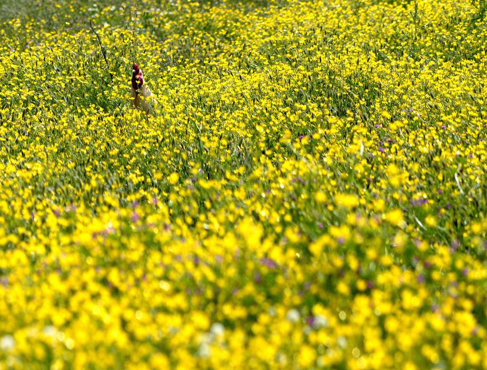 Photograph by Bekir Yesiltas