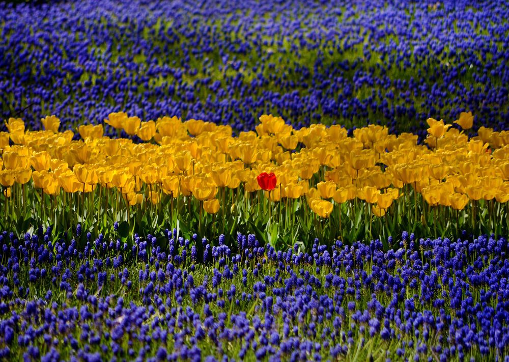 Photograph by Bekir Yesiltas