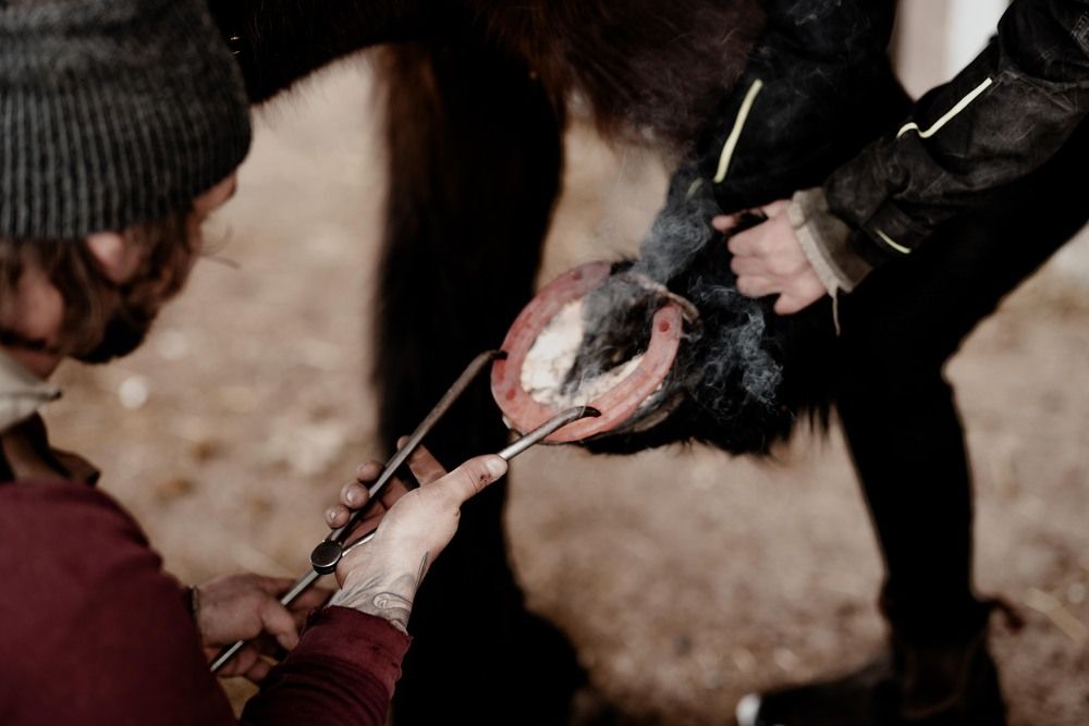 Фотография автора Fabienne Gassmann