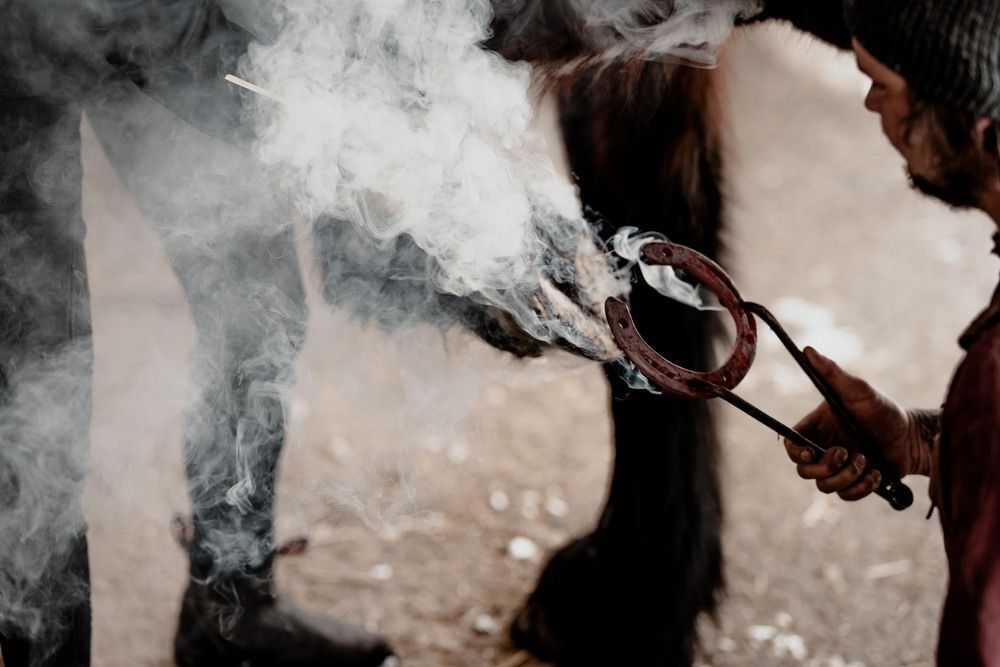 Фотография автора Fabienne Gassmann