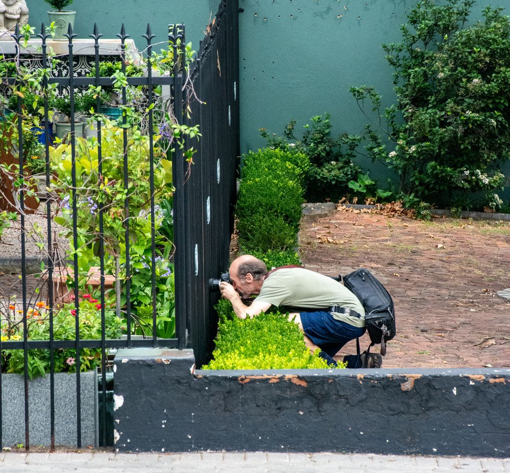 I Spy .....
