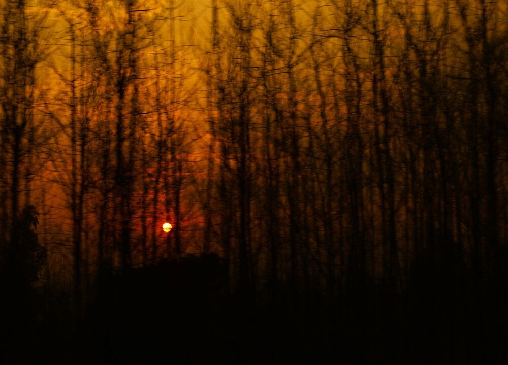 Photograph by G GOVIL