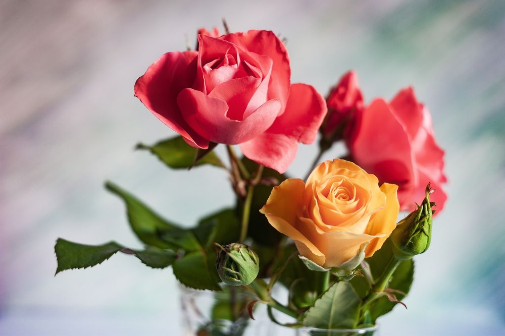 Photograph by Владимир Тузлай