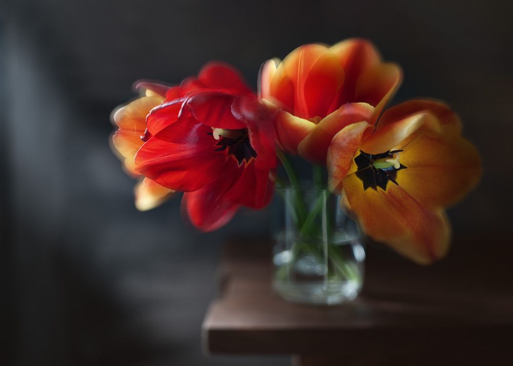 Photograph by Владимир Тузлай