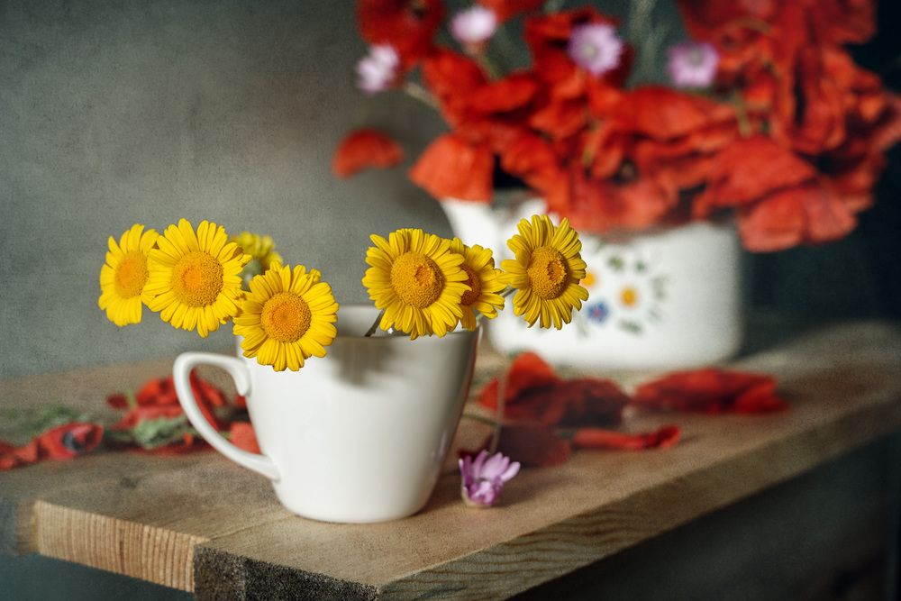 Photograph by Владимир Тузлай