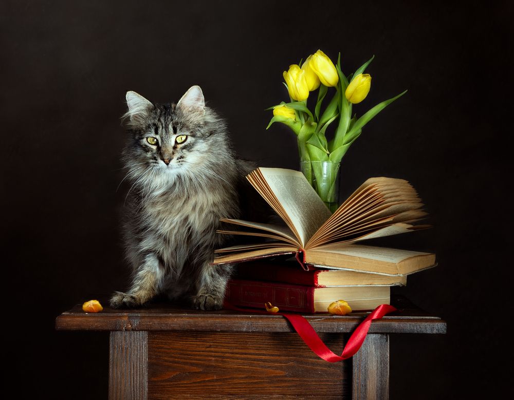 Photograph by Александрова Александра