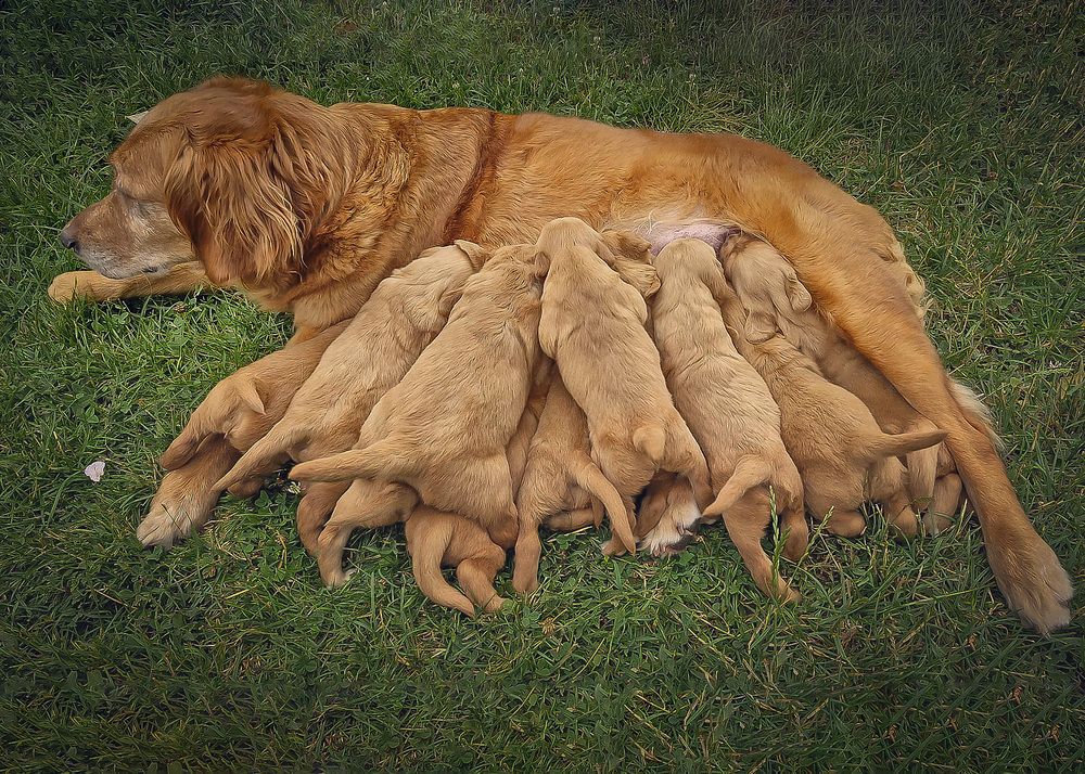 Photograph by Meilleurs Moments