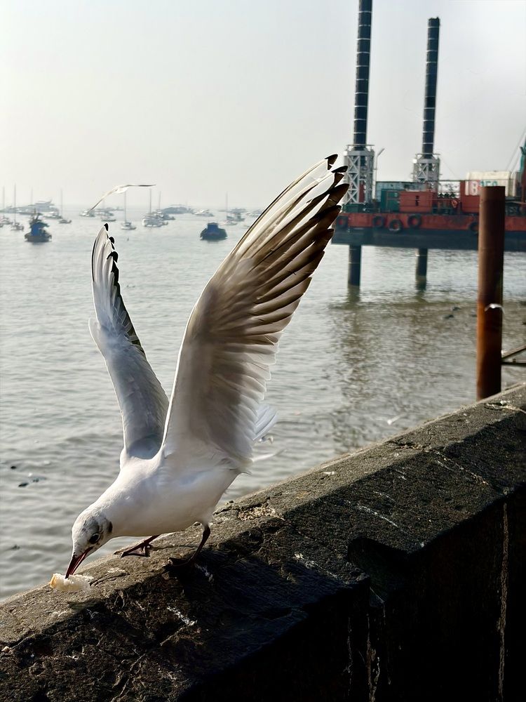 Photograph by Aashu Pandya