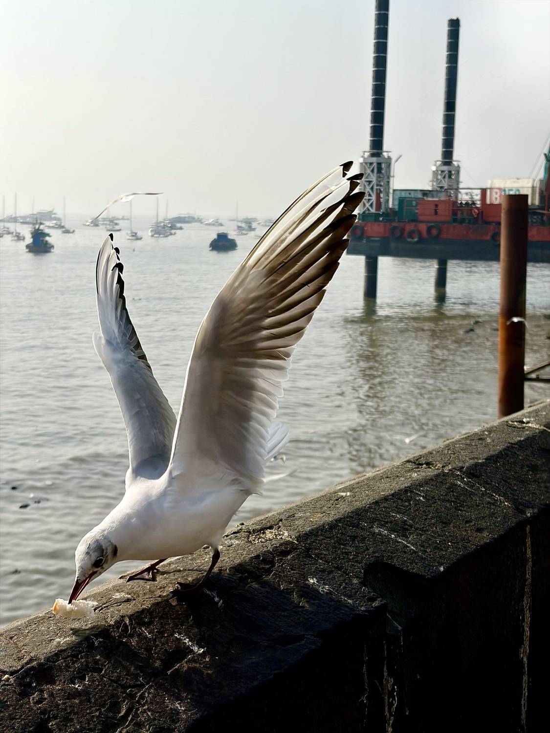 Photo #13442109