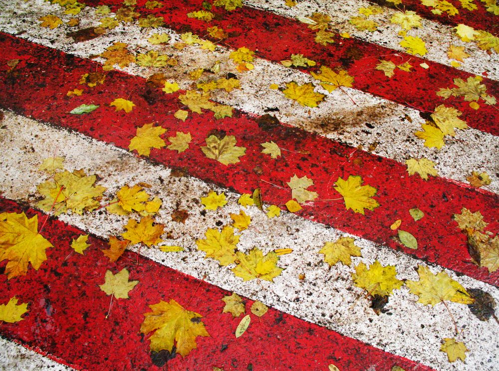 Photograph by Ионова Татьяна