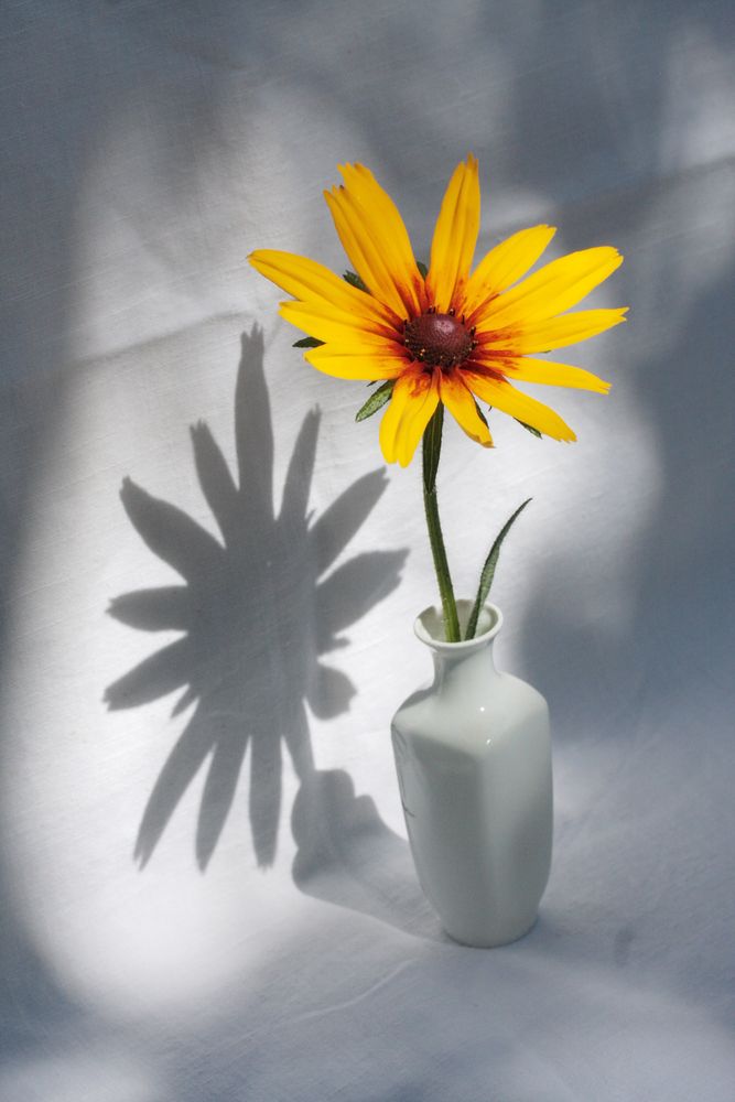 Photograph by Ионова Татьяна