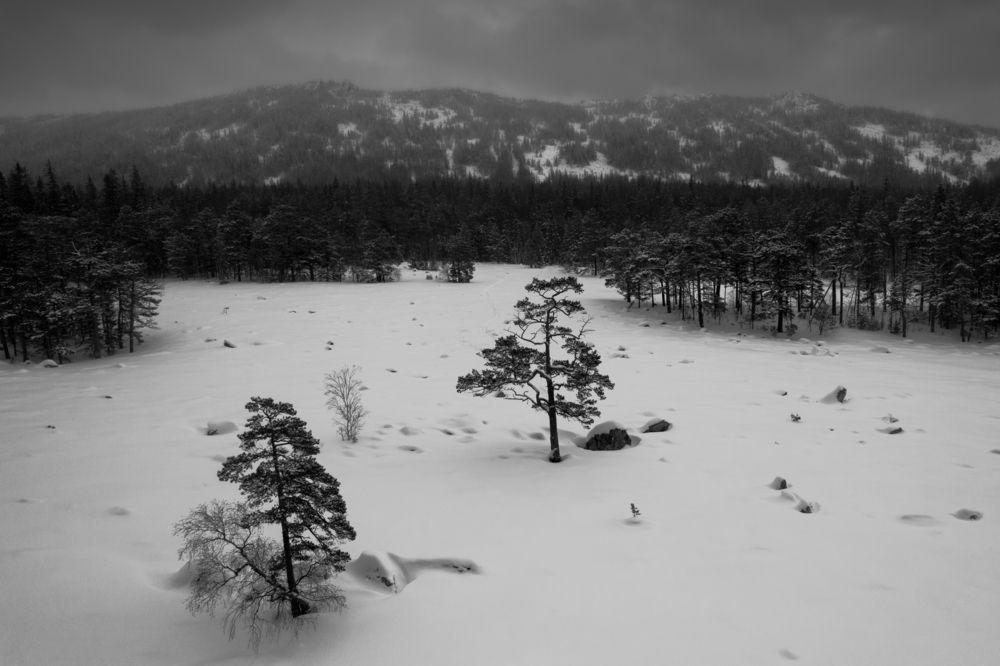 Фотография автора Сергей Гарифуллин