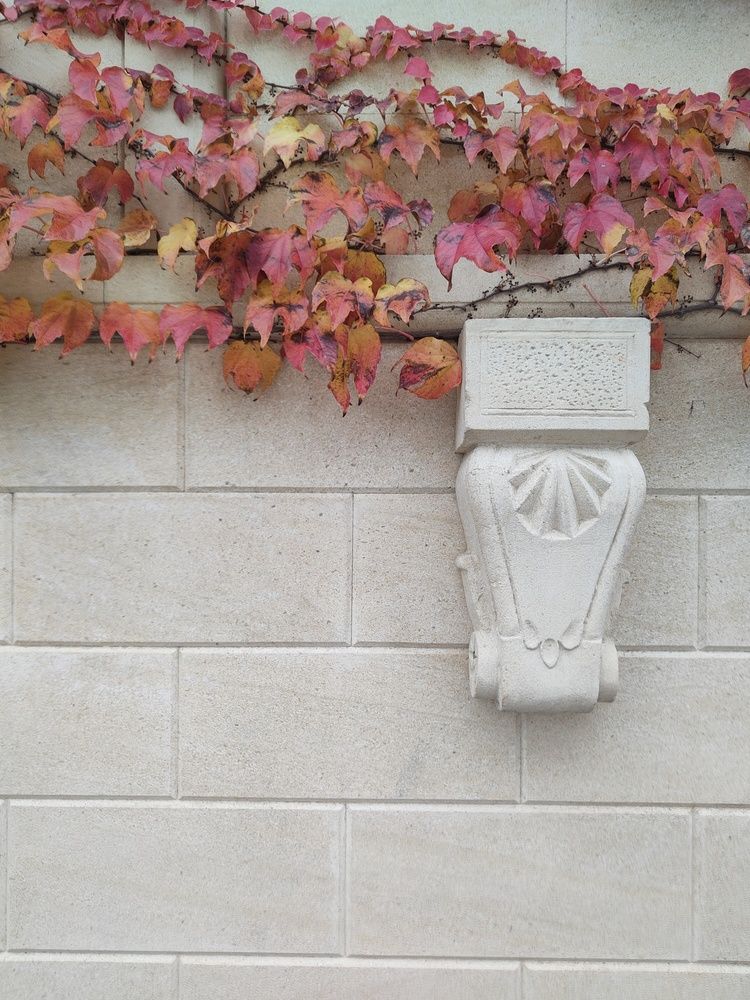 Photograph by Алла Ларина