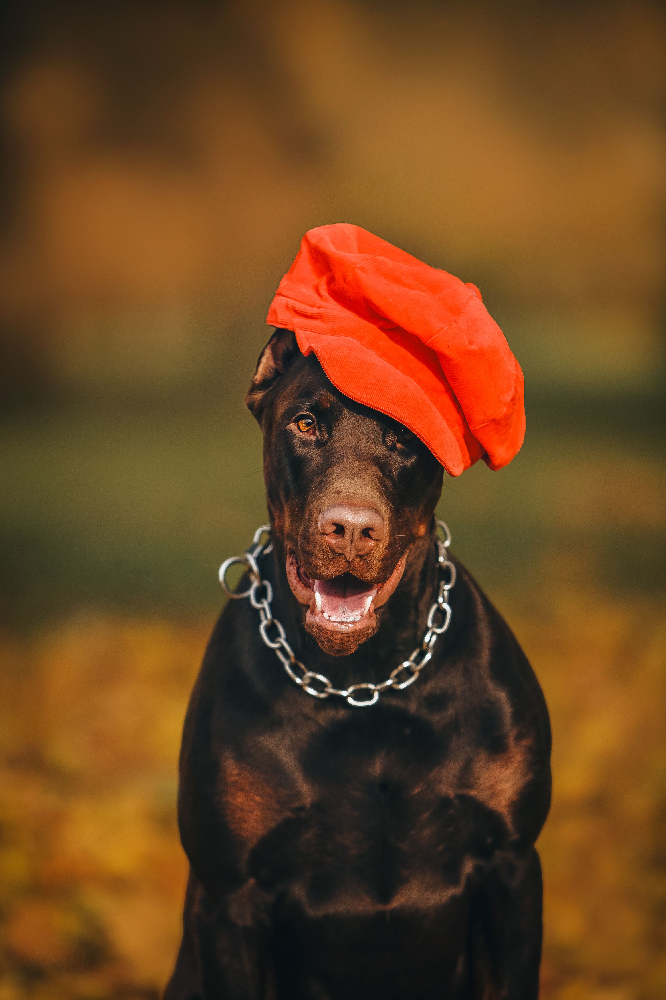 Photograph by Мария Клещенко