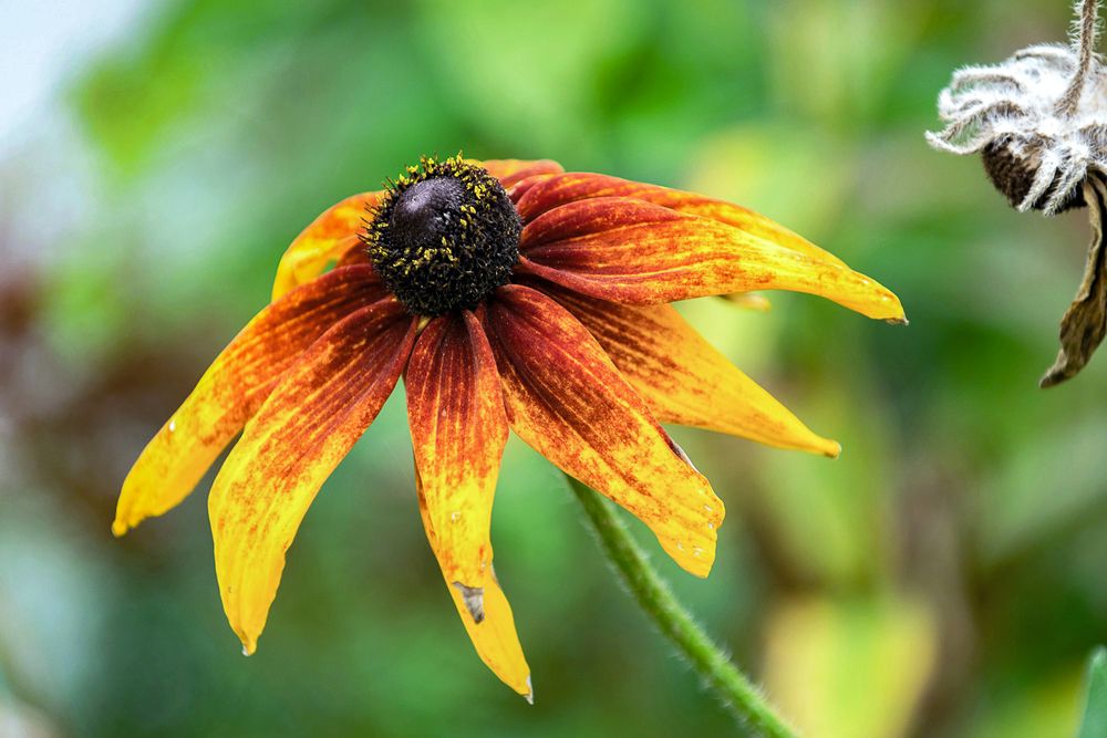 Photograph by Дария Ризниченко