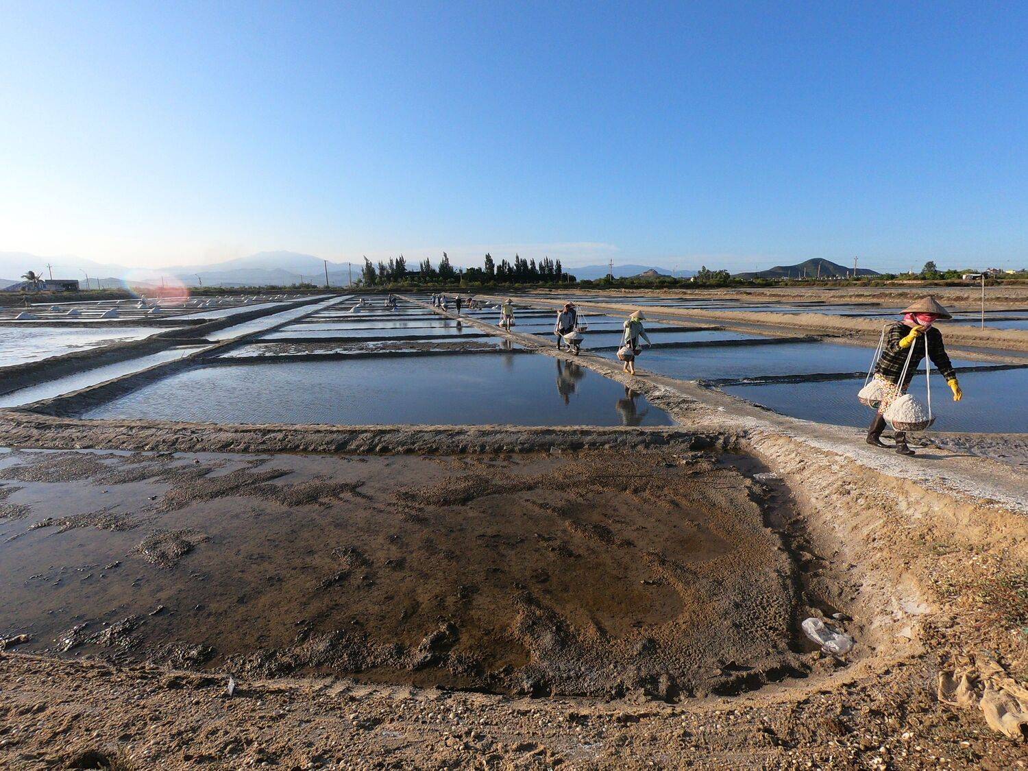 Соленые поля