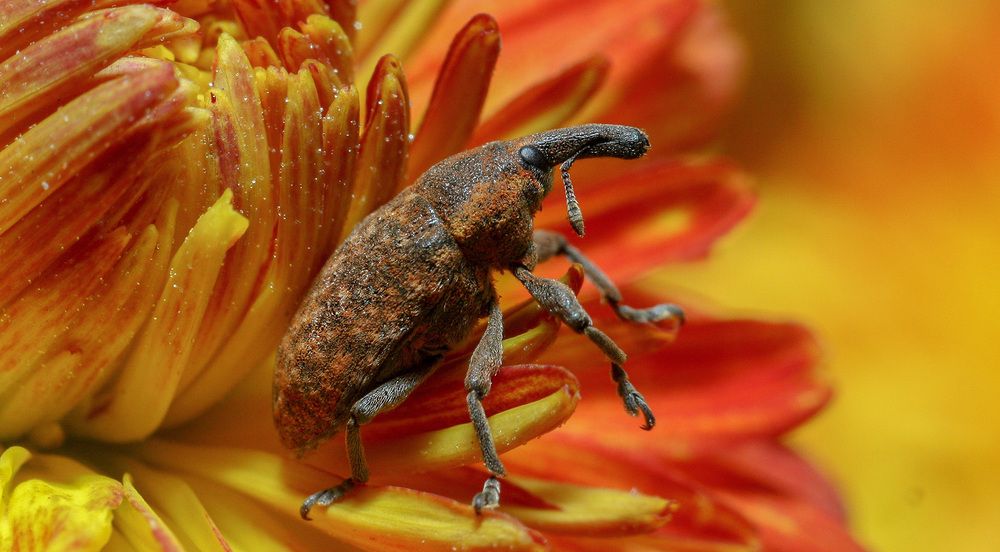 Photograph by Николаев Андрей