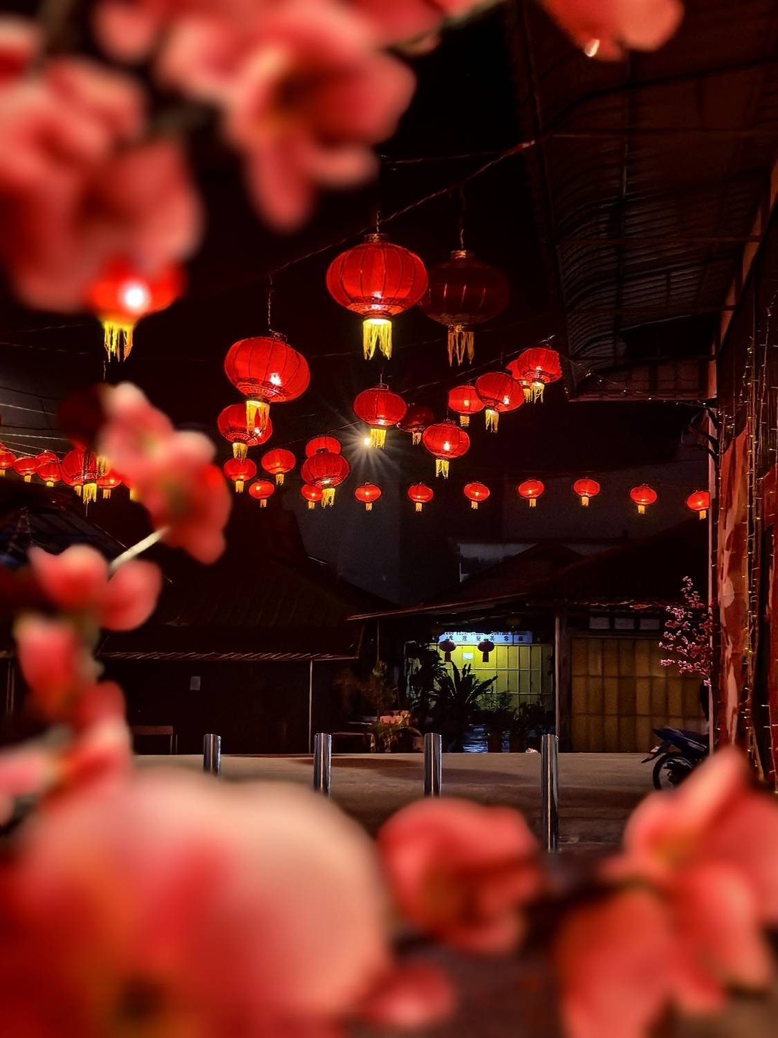 “Crimson Glow, Golden Warmth”