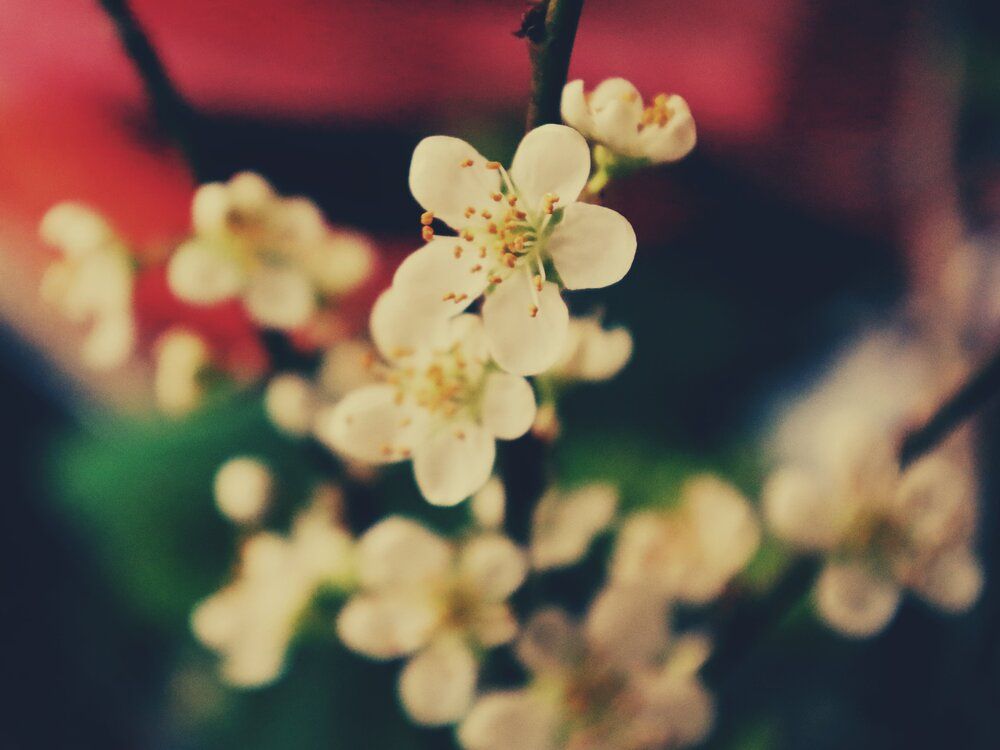 Photograph by Mila Nikolova