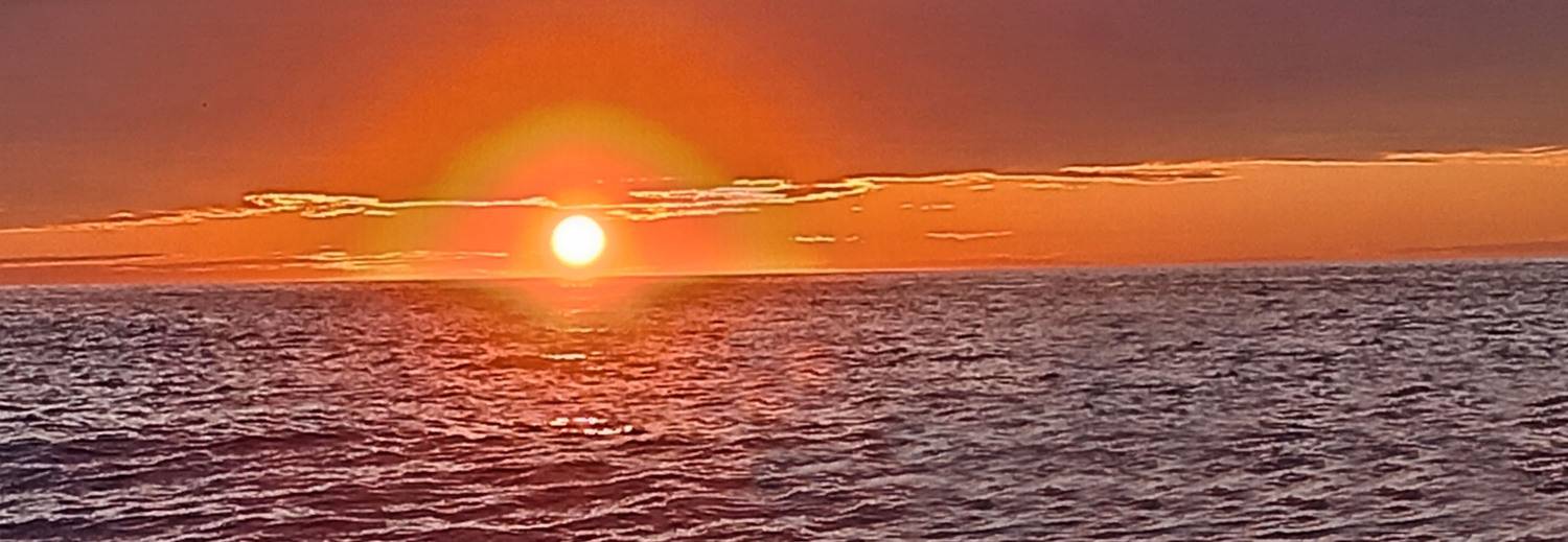 Фотография #13442641