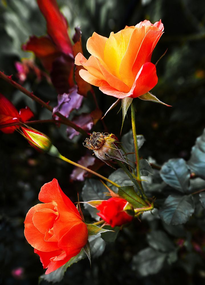 Photograph by Александр Усанов