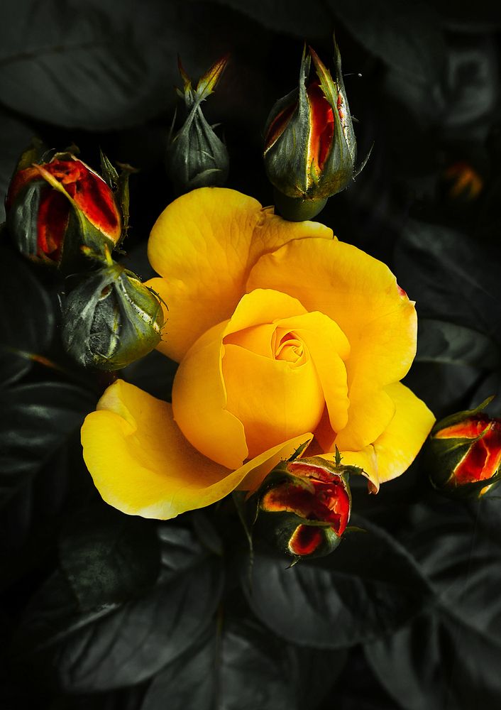 Photograph by Александр Усанов