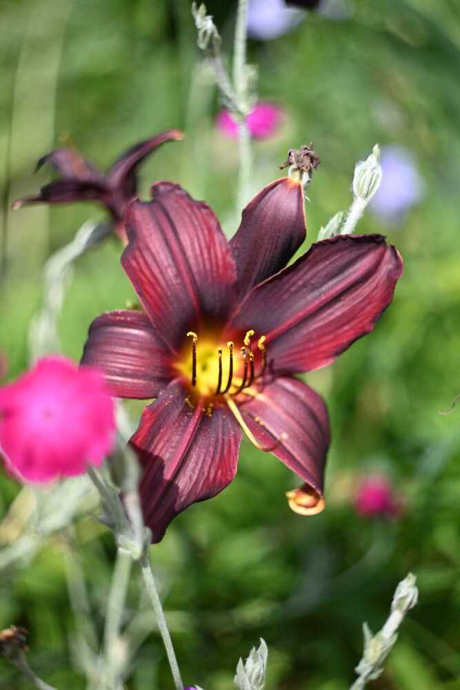 Photograph by Ксения