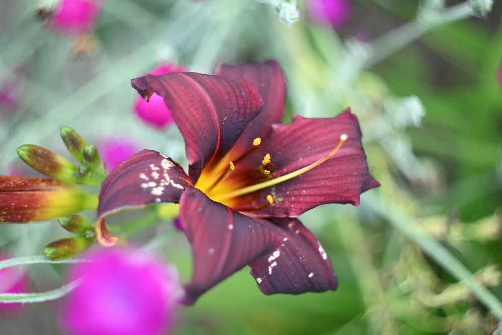 Photograph by Ксения