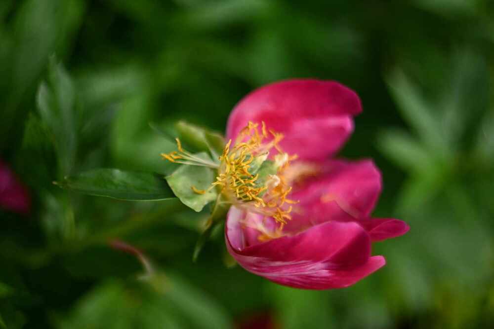 Photograph by Ксения