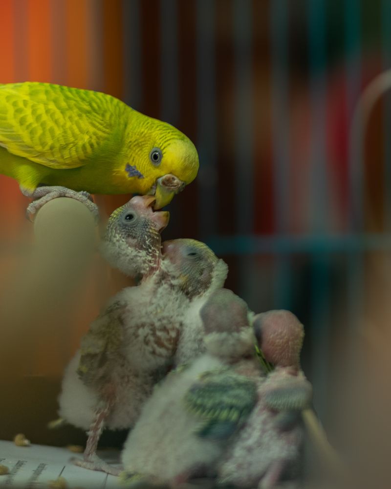 Photograph by SUHAS MANDAL