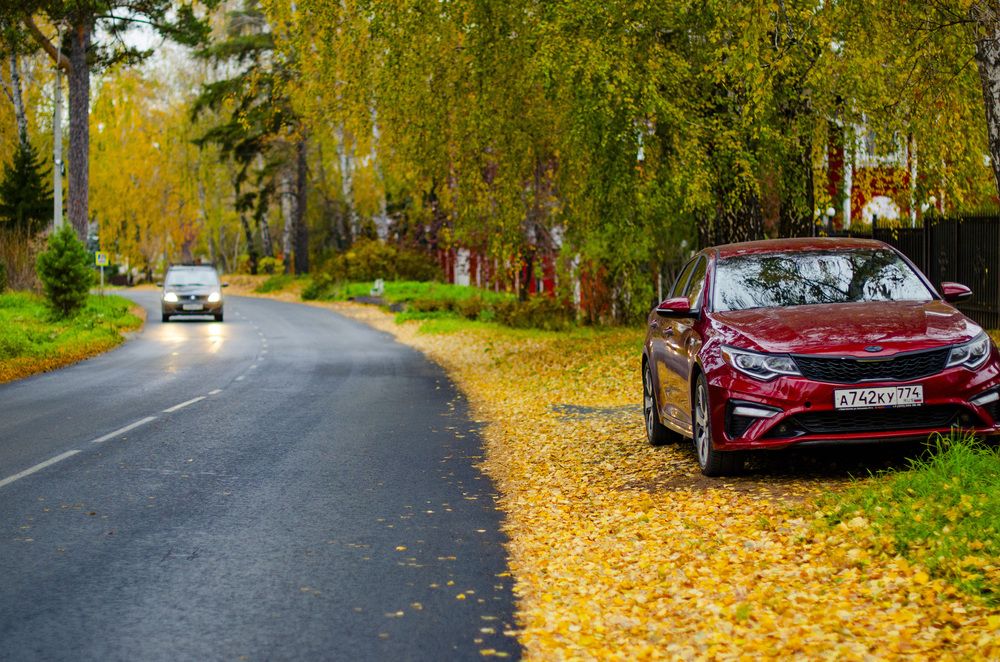 Photograph by Светлана Кудянова