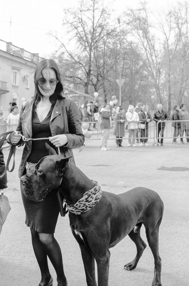 Photograph by Светлана Кудянова