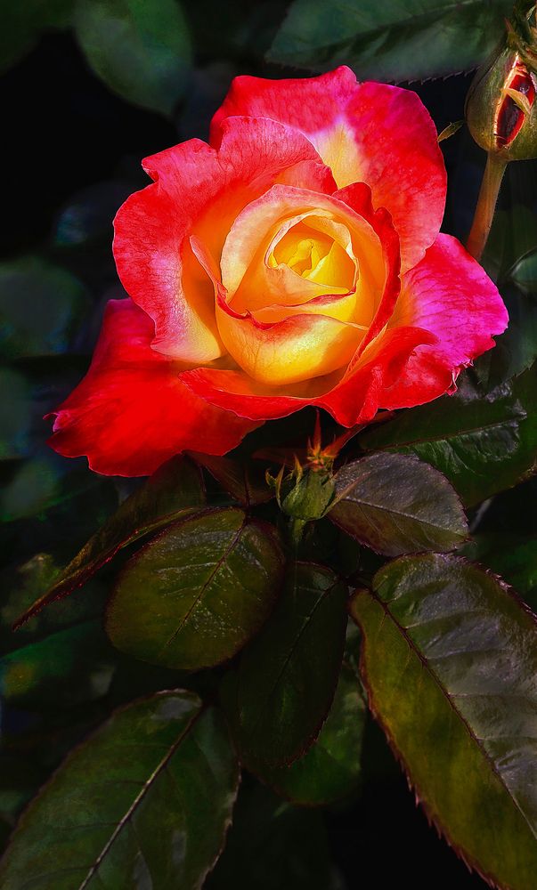 Photograph by Александр Усанов