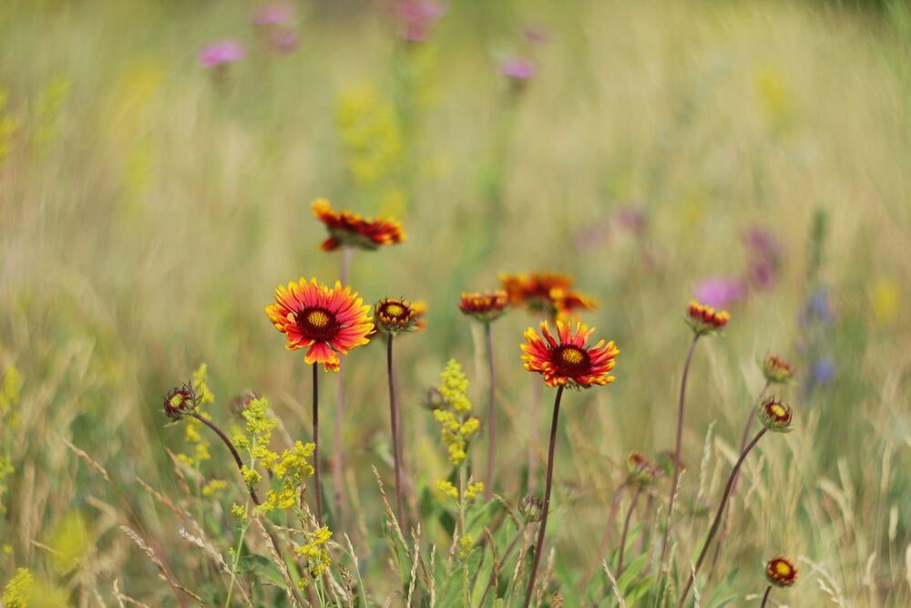 Photograph by Елена