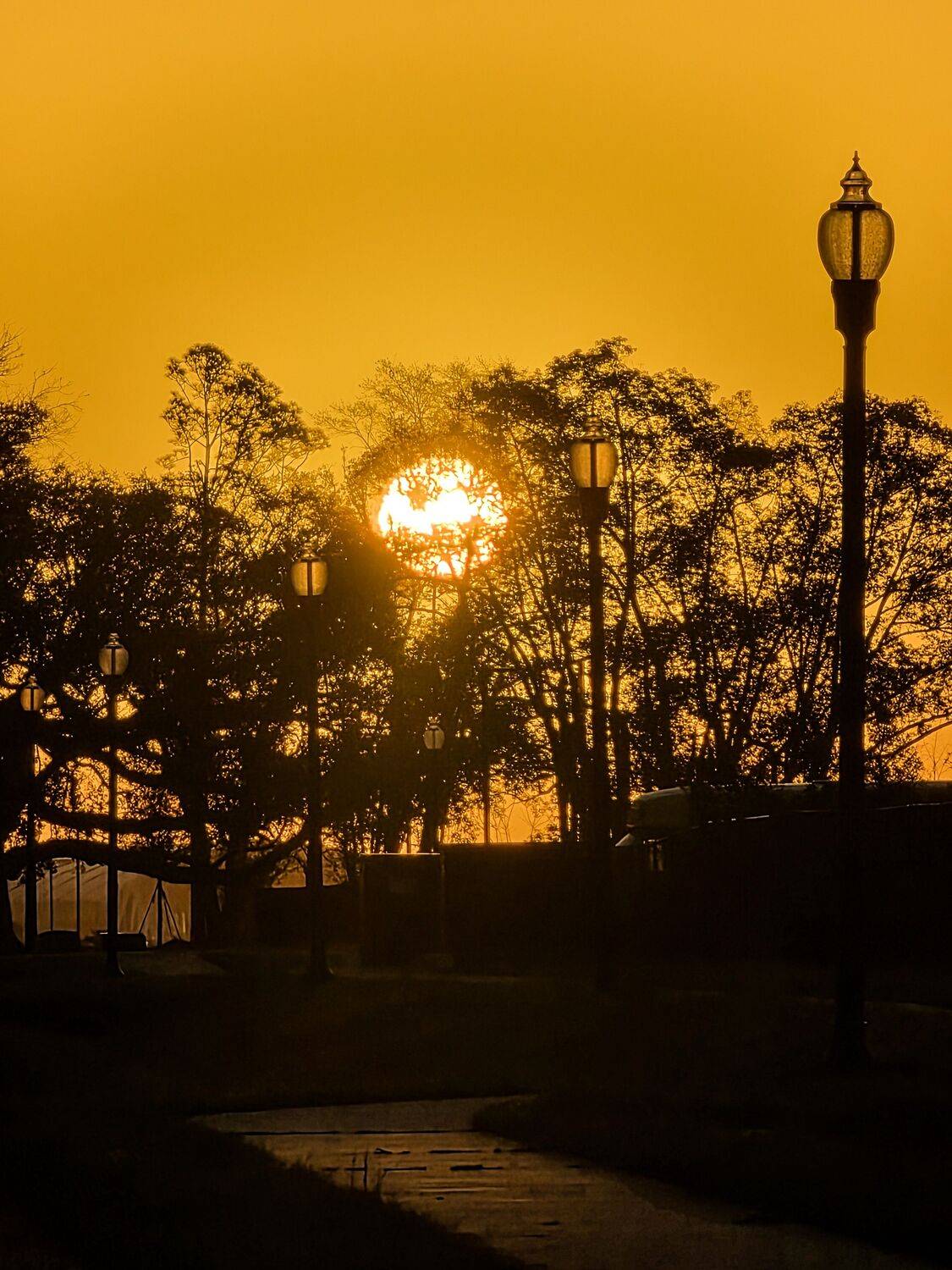 Sun Lamp