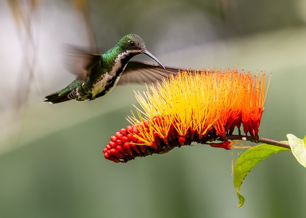 Photograph by Rose-Anne Reyes