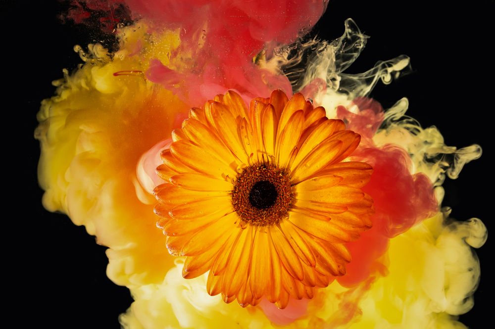 Photograph by Оксана О.