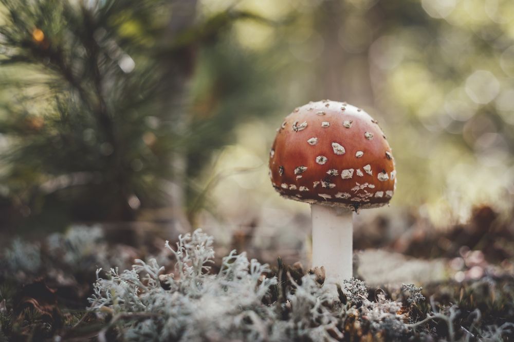 Photograph by Оксана О.
