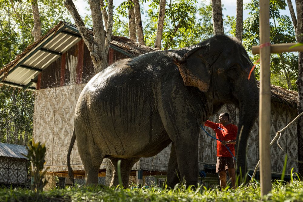 Photograph by ИРЕНА Цурпал