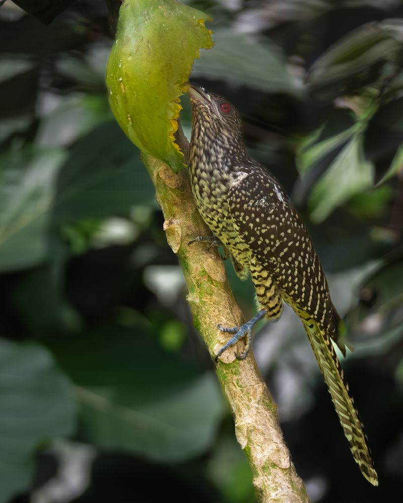 Photograph by Jayakrishnan