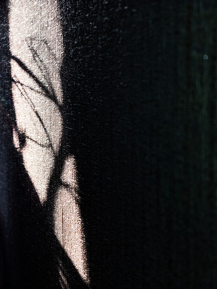 Photo #13443212