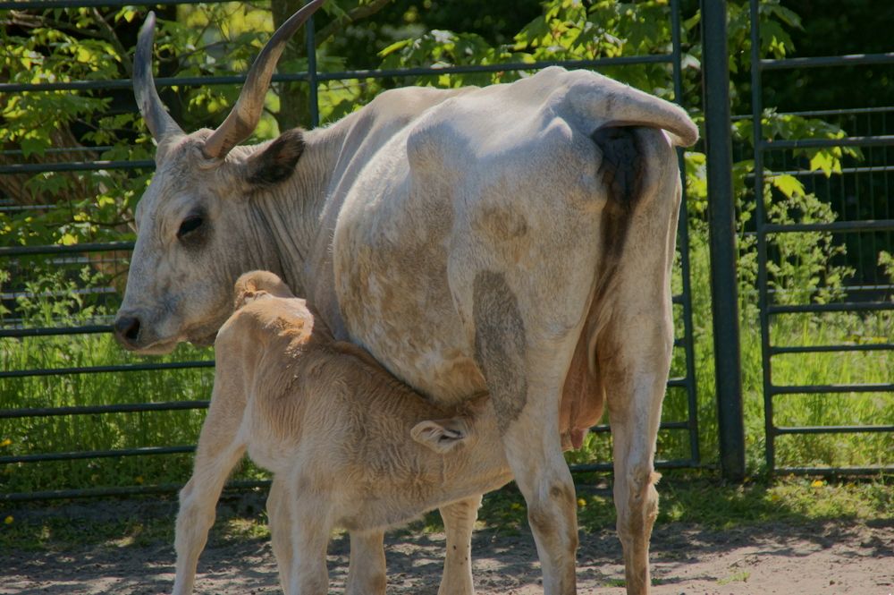 Photograph by Sergej Roor