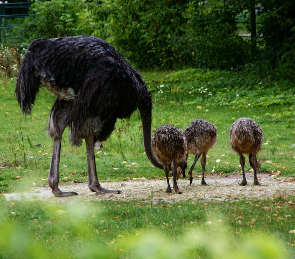 Photograph by Sergej Roor