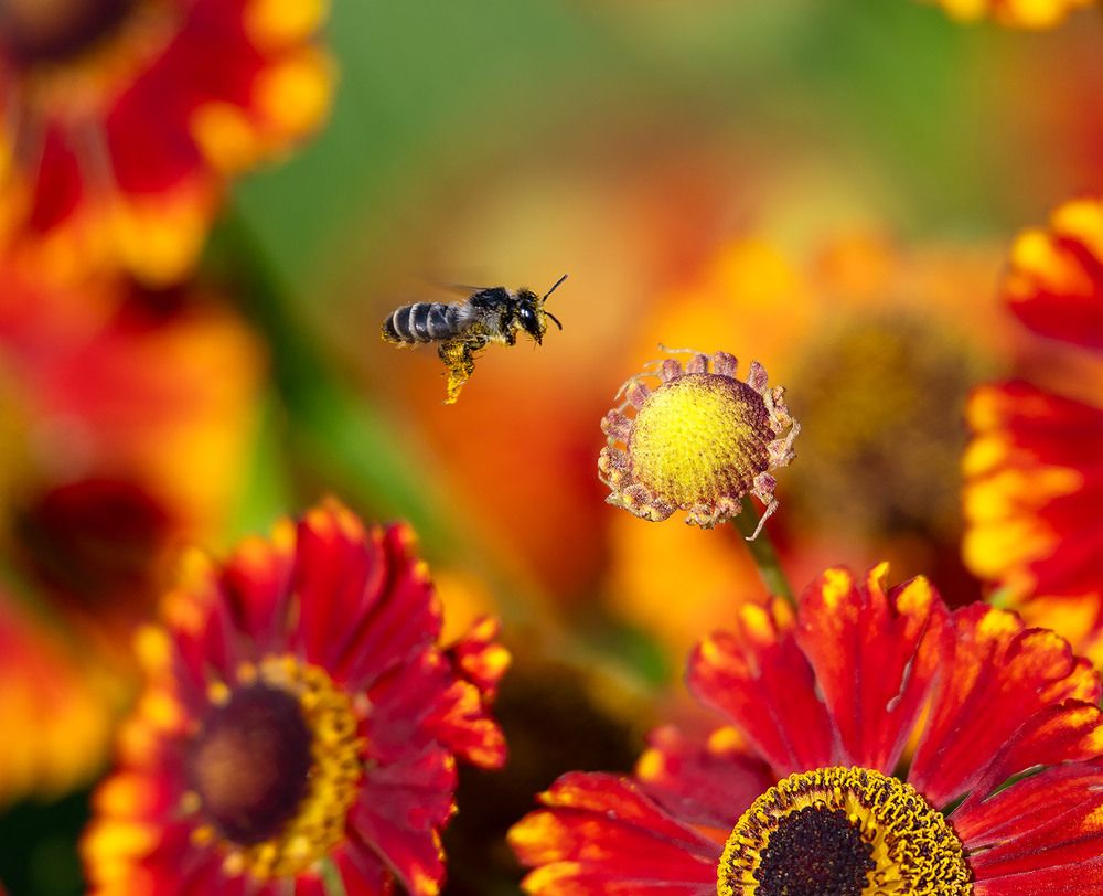 Photograph by Дмитрий Ткаченко