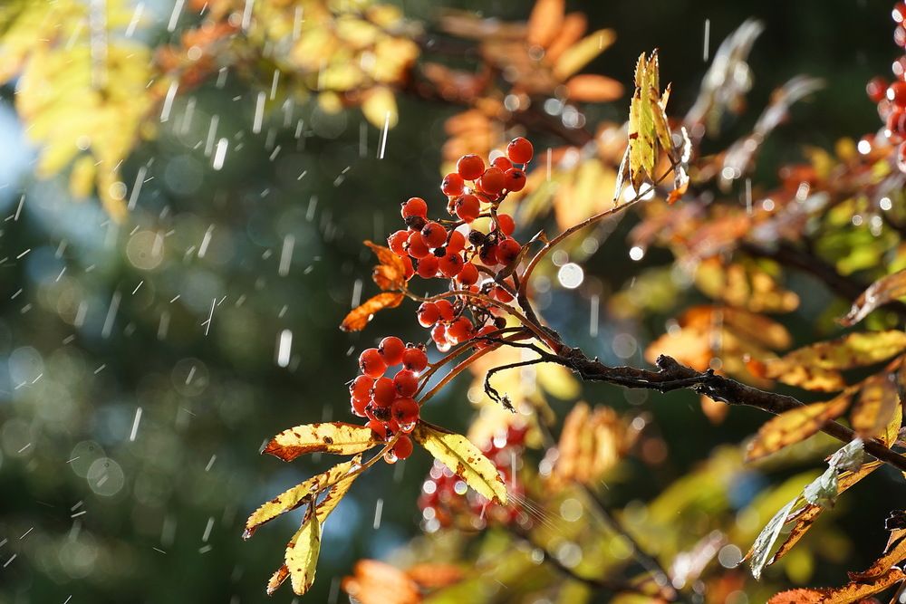 Photograph by Галина Кан