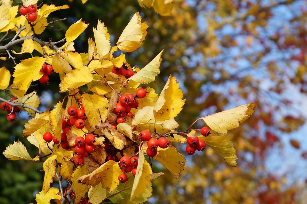 Photograph by Галина Кан