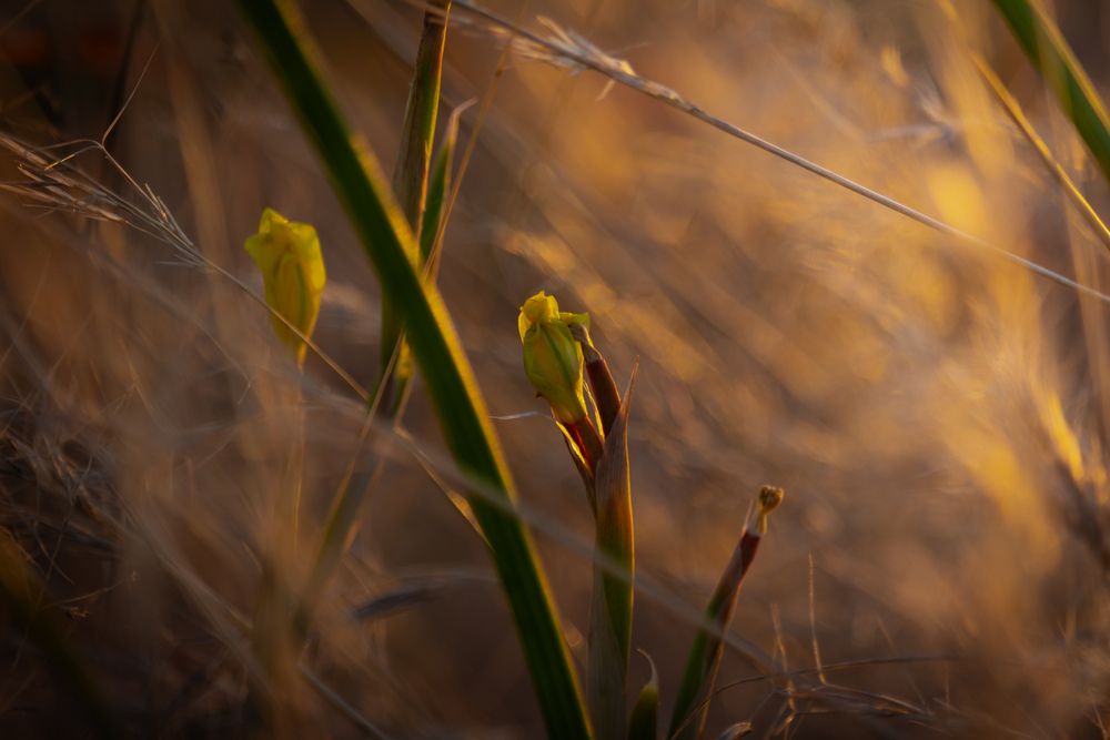 Photograph by Michelle Hart