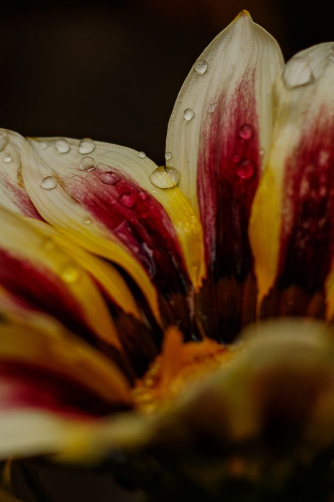 Photograph by Michelle Hart
