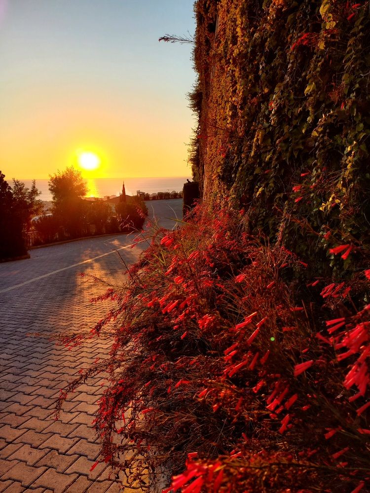 Photograph by Яна